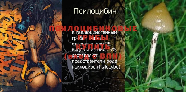 дмт Александровское