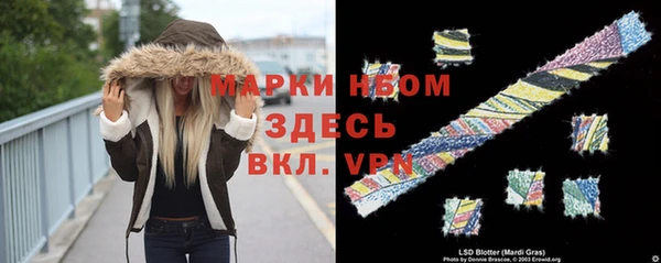 дживик Зерноград