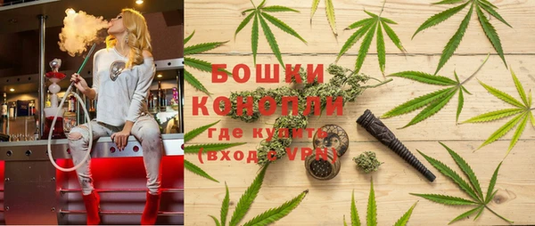 амф Каменногорск