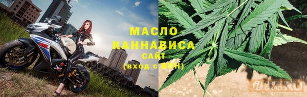 гидра Кодинск