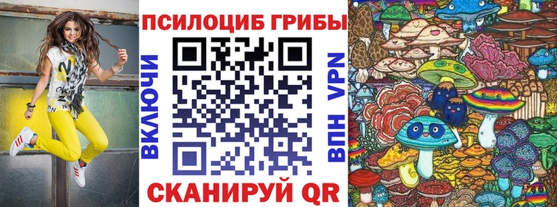 купить наркотики сайты  Каменка  Псилоцибиновые грибы ЛСД 