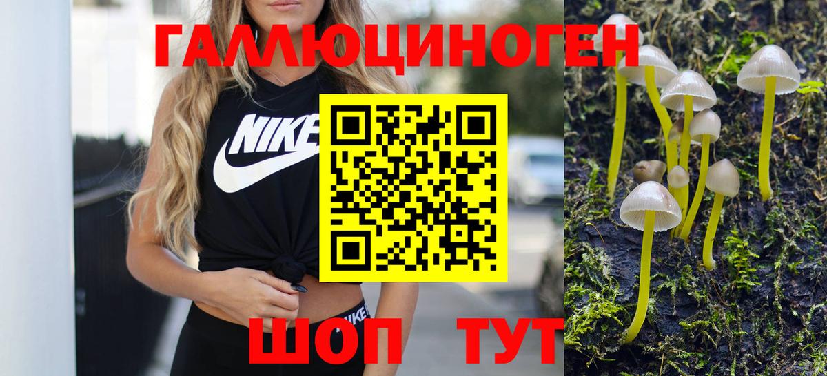 Галлюциногенные грибы ЛСД Каменка