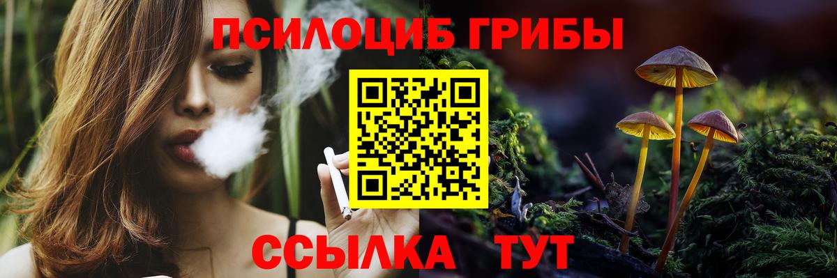 Каменка  Псилоцибиновые грибы мухоморы  Вход с VPN 