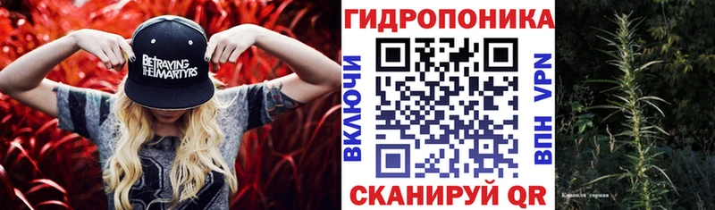 Каннабис VHQ  kraken маркетплейс  Каменка  как найти закладки 